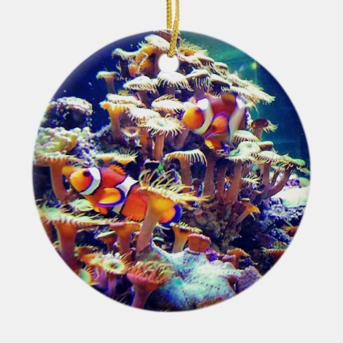 Clown Fish Ceramic Ornament