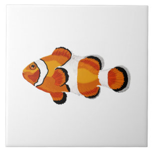 Clown fish ceramic tile