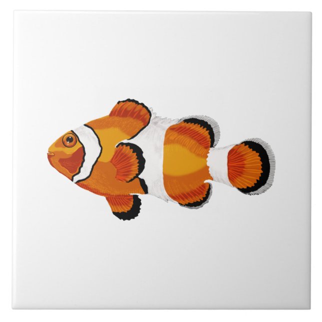 Clown fish ceramic tile (Front)