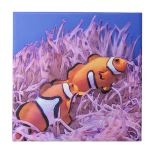 Clown Fish Ceramic Tile
