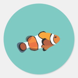 Clown Fish