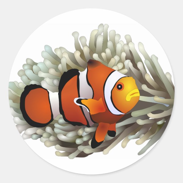 Clown Fish Classic Round Sticker (Front)