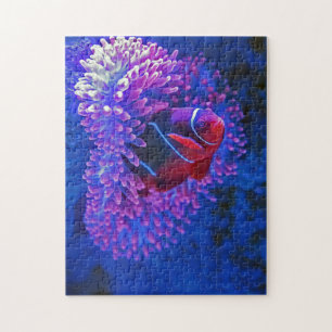 Clown Fish Coral Reef Sea Creatures Ocean Species Jigsaw Puzzle
