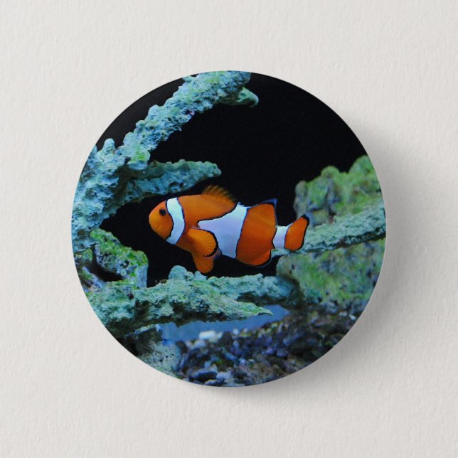 Clown Fish in Coral Button (Front)