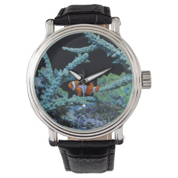 Clown Fish In Coral Watch by beachcafe at Zazzle