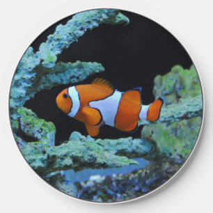 Clown Fish in Coral Wireless Charger