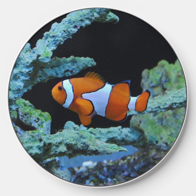 Clown Fish in Coral Wireless Charger (Front)