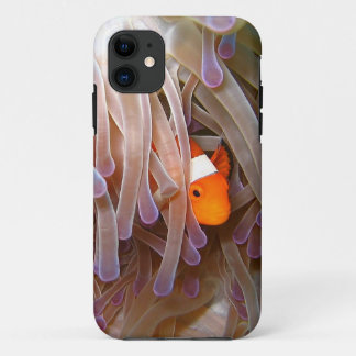 Clown Fish iPhone 5 Cover