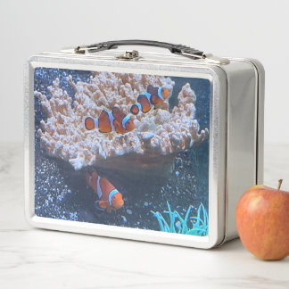 Clown Fish Metal Lunch Box