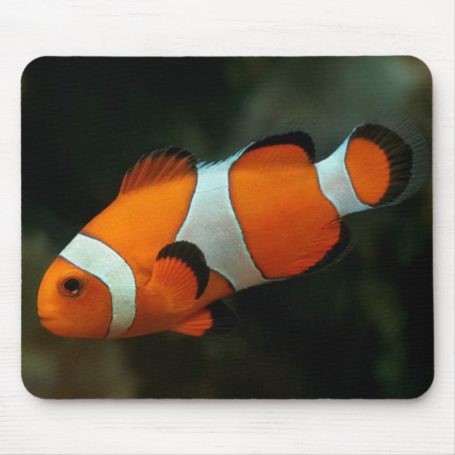 Clown Fish Mouse Pad (Front)