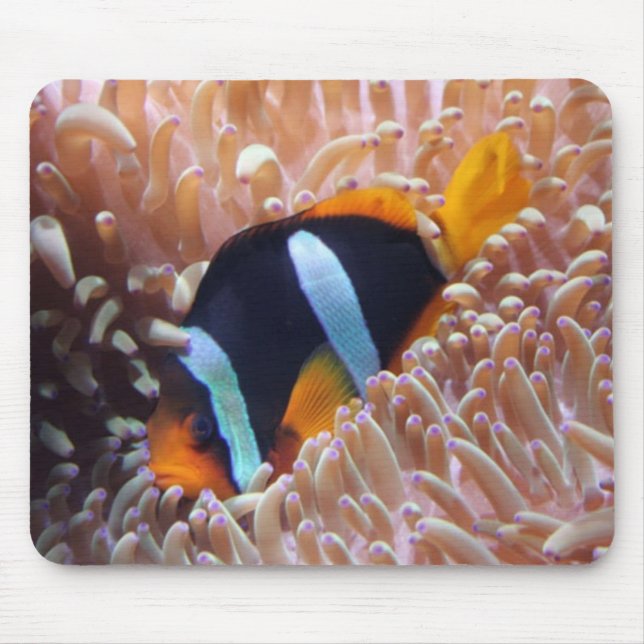 Clown Fish Mousepad (Front)