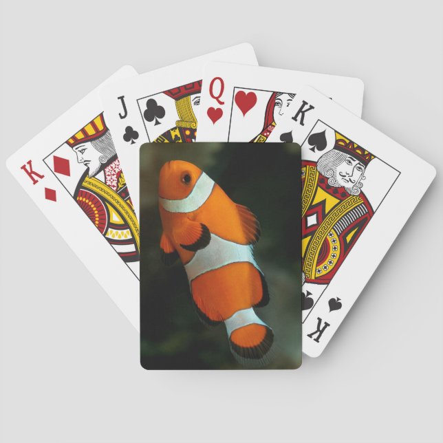 Clown Fish Poker Cards (Back)