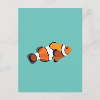 Clown Fish