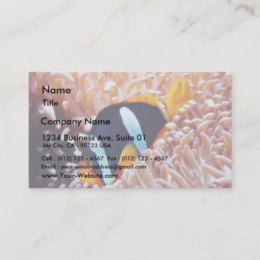 Customizable Clown Fish Tropical Fish Business Card Templates