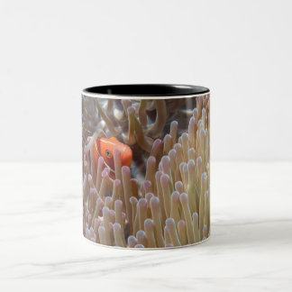 clown fish Two-Tone coffee mug