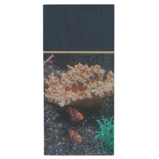 Clown Fish USB Wooden Flash Drive