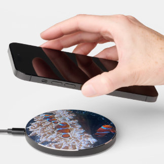 Clown Fish Wireless Charger