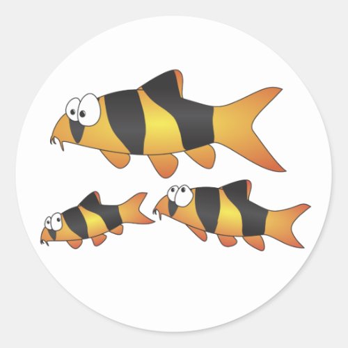 Clown loach family classic round sticker