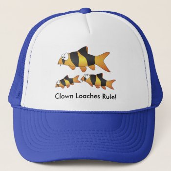 Clown Loaches Rule! - Cool Fish Cap by chromobotia at Zazzle