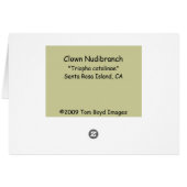 Clown Nudibranch Cards (Back Horizontal)