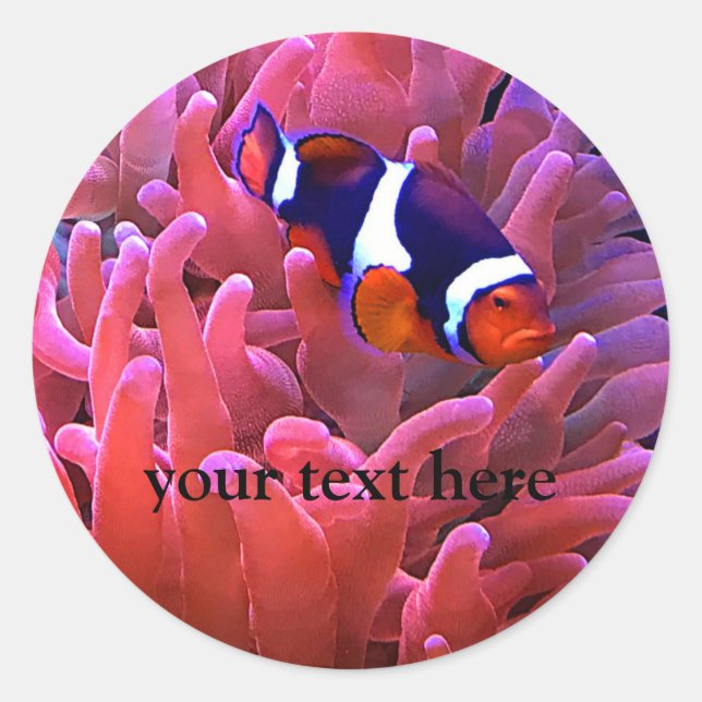 Clownfish #1 Stickers (Front)