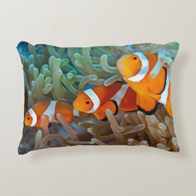 Clownfish Accent Pillow (Front)