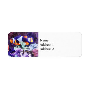 Clownfish and Coral Label