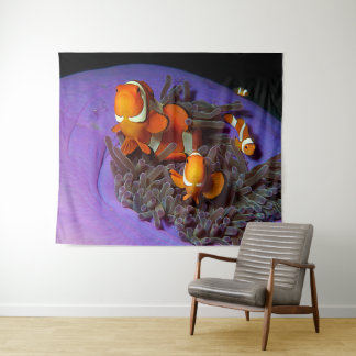 Clownfish are always in move | Busy Anemonefish |  Tapestry