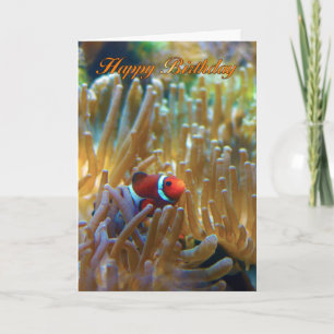 Clownfish Birthday Card - Photography Card - Happy