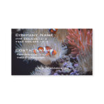 Clownfish Business Card