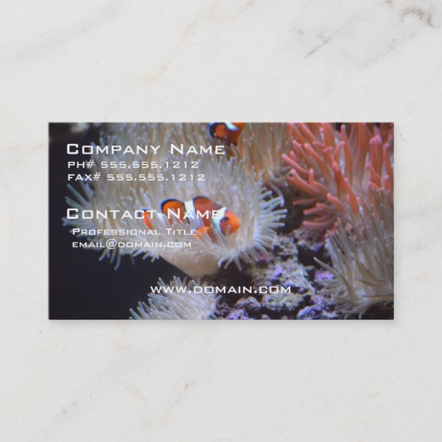 Clownfish Business Card (Front)