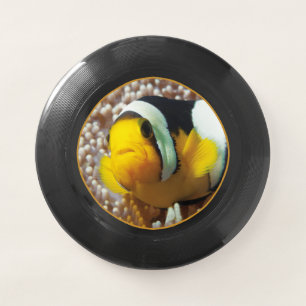 Clownfish - Close-Up! Round Photographic Design Wham-O Frisbee