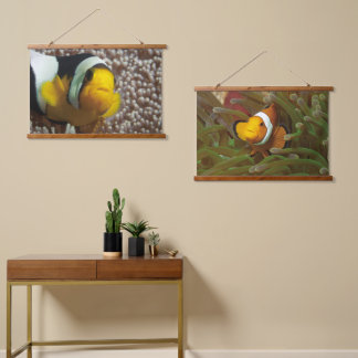 Clownfish - Close-Up! So cute - Nemo in Anemone |  Hanging Tapestry
