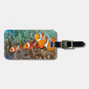 Clownfish Luggage Tag