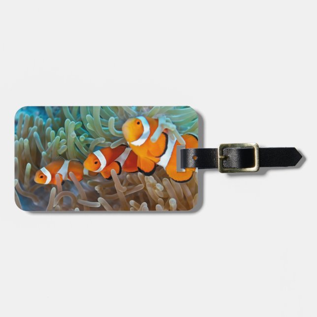 Clownfish Luggage Tag (Front Horizontal)
