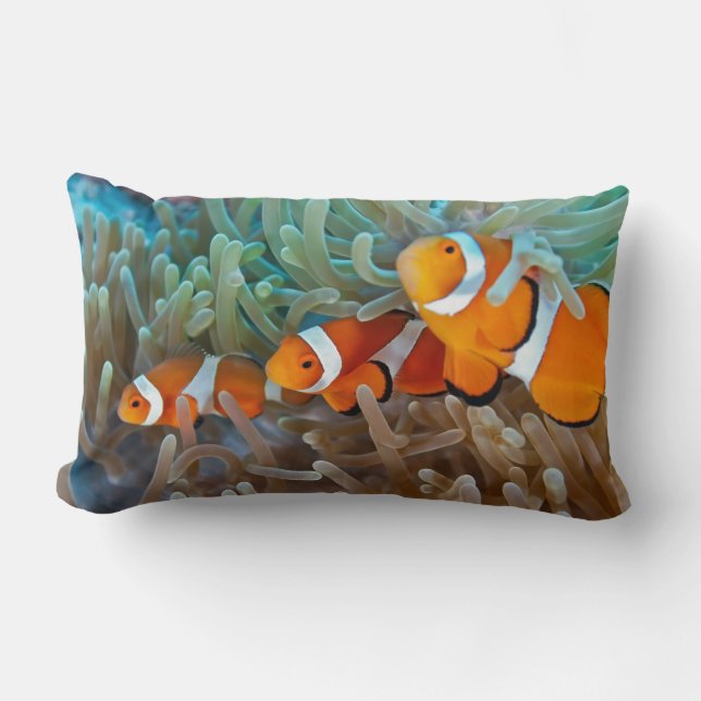Clownfish Lumbar Pillow (Front)