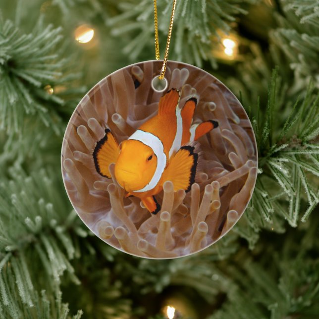 Clownfish - Molokai, North Shore Cliff Ceramic Ornament (Tree)