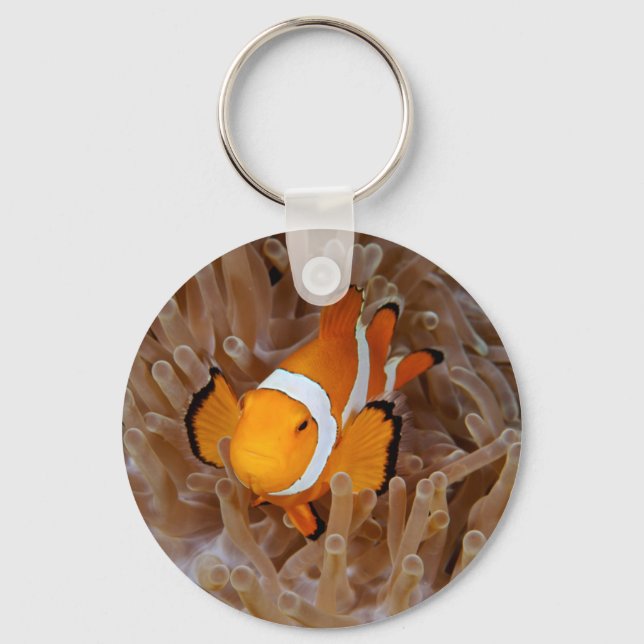 Clownfish - Molokai, North Shore Cliff Keychain (Front)