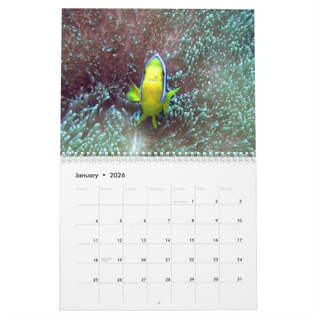 Clownfish of Fiji 2015 Calender Calendar (Jan 2026)