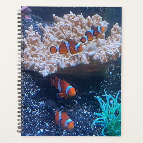Clownfish Planner