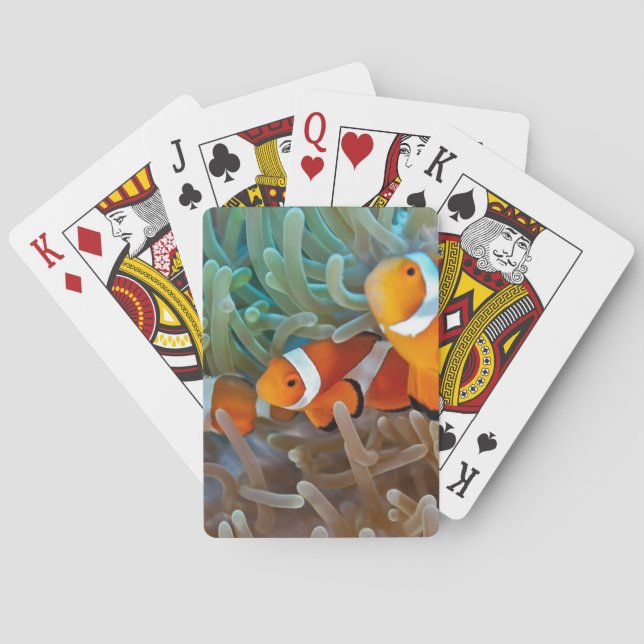Clownfish Poker Cards (Back)