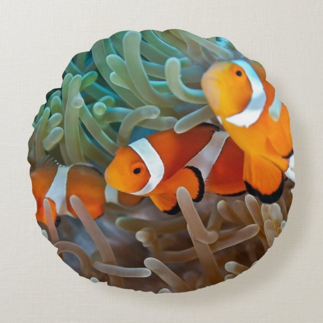 Clownfish Round Pillow (Front)