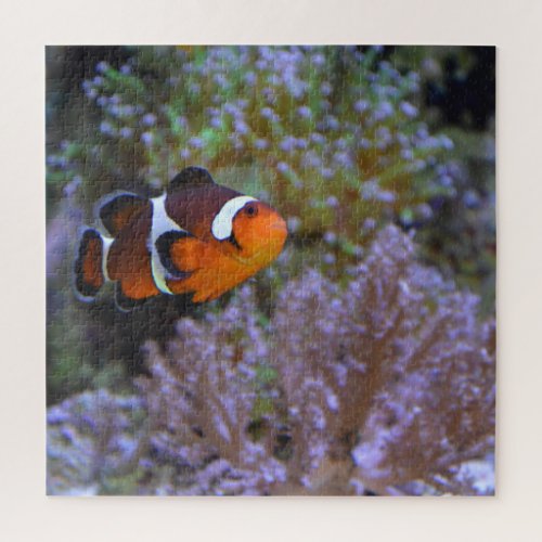 Clownfish Sea Anemone Coral Underwater photography Jigsaw Puzzle