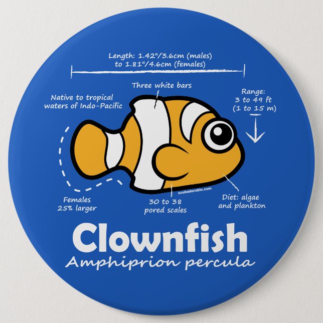 Clownfish Statistics Button (Front)
