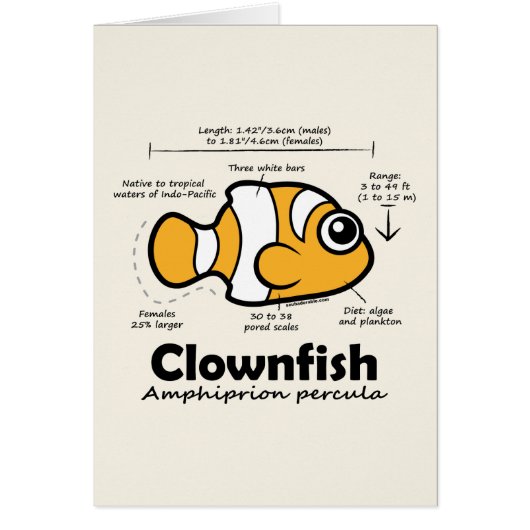 Clownfish Statistics Cards (Front)
