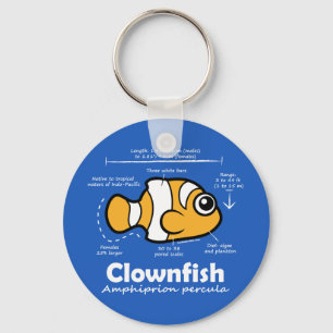 Clownfish Statistics Keychain