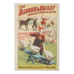 Clowns With Performing Geese, Roosters, & Donkey. Faux Canvas Print