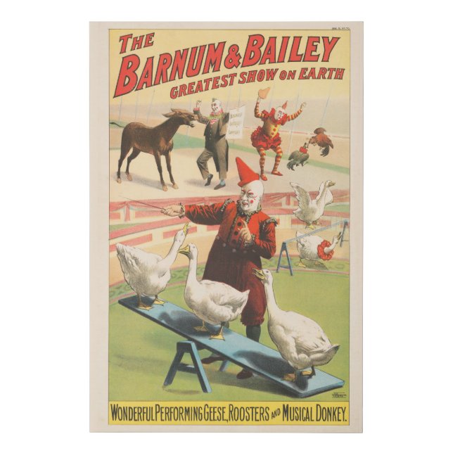 Clowns With Performing Geese, Roosters, & Donkey. Faux Canvas Print (Front)