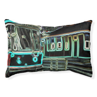 CLRV Neon at stn Small Indoor Dog Bed