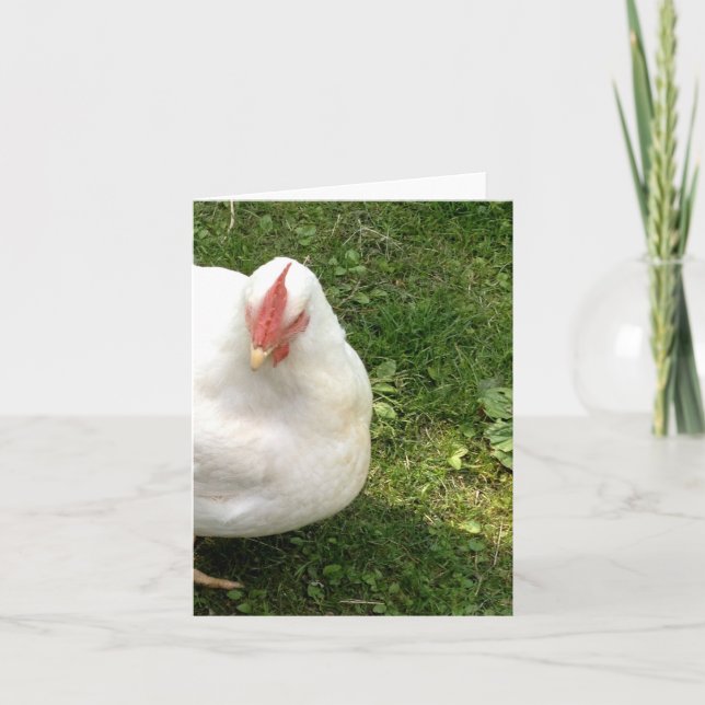 Cluck, Cluck, Here Card (Front)